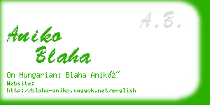 aniko blaha business card